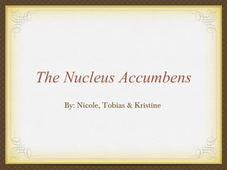 The Nucleus Accumbens ,[object Object]