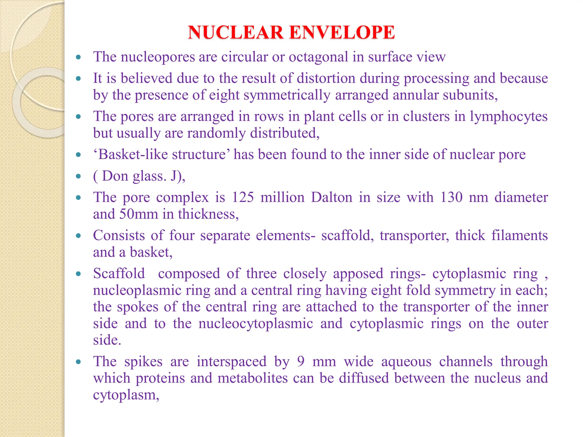 NUCLEAR ENVELOPE
 The nucleopores are circular or octagonal in surface view
 It is believed due to the result of distortion during processing and because
by the presence of eight symmetrically arranged annular subunits,
 The pores are arranged in rows in plant cells or in clusters in lymphocytes
but usually are randomly distributed,
 ‘Basket-like structure’ has been found to the inner side of nuclear pore
 ( Don glass. J),
 The pore complex is 125 million Dalton in size with 130 nm diameter
and 50mm in thickness,
 Consists of four separate elements- scaffold, transporter, thick filaments
and a basket,
 Scaffold composed of three closely apposed rings- cytoplasmic ring ,
nucleoplasmic ring and a central ring having eight fold symmetry in each;
the spokes of the central ring are attached to the transporter of the inner
side and to the nucleocytoplasmic and cytoplasmic rings on the outer
side.
 The spikes are interspaced by 9 mm wide aqueous channels through
which proteins and metabolites can be diffused between the nucleus and
cytoplasm,
 