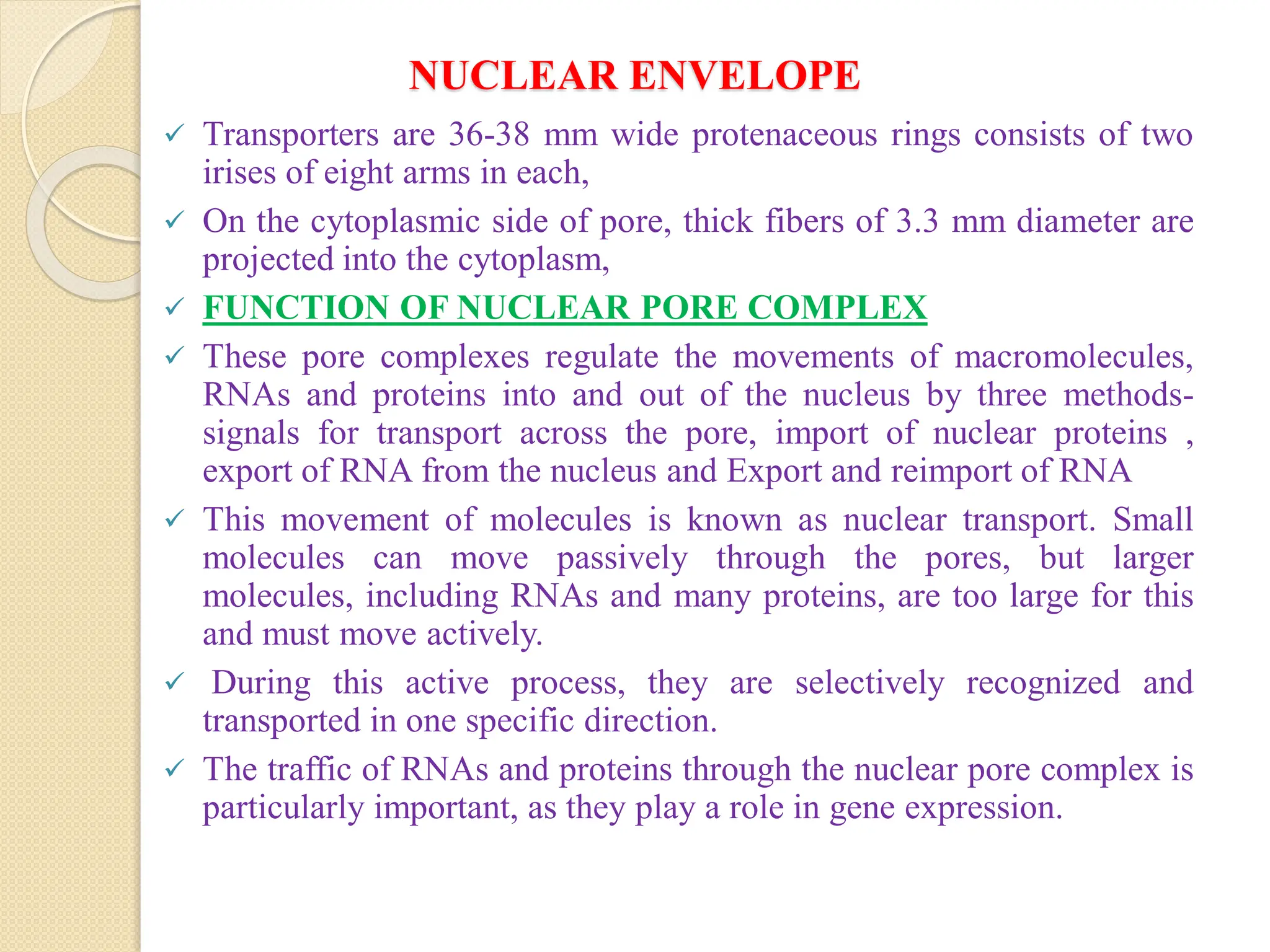 NUCLEAR ENVELOPE
 Transporters are 36-38 mm wide protenaceous rings consists of two
irises of eight arms in each,
 On the cytoplasmic side of pore, thick fibers of 3.3 mm diameter are
projected into the cytoplasm,
 FUNCTION OF NUCLEAR PORE COMPLEX
 These pore complexes regulate the movements of macromolecules,
RNAs and proteins into and out of the nucleus by three methods-
signals for transport across the pore, import of nuclear proteins ,
export of RNA from the nucleus and Export and reimport of RNA
 This movement of molecules is known as nuclear transport. Small
molecules can move passively through the pores, but larger
molecules, including RNAs and many proteins, are too large for this
and must move actively.
 During this active process, they are selectively recognized and
transported in one specific direction.
 The traffic of RNAs and proteins through the nuclear pore complex is
particularly important, as they play a role in gene expression.
 