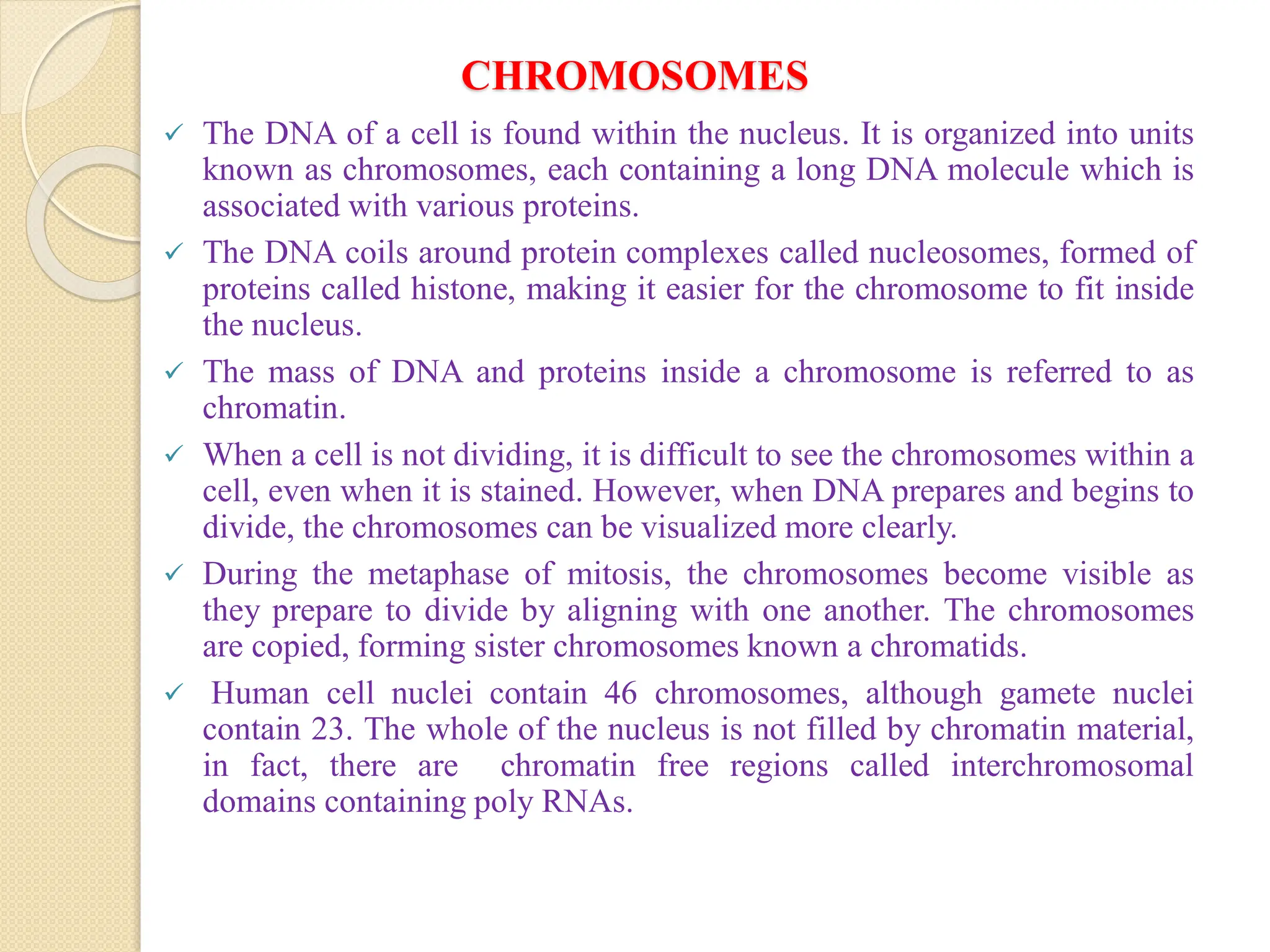 CHROMOSOMES
 The DNA of a cell is found within the nucleus. It is organized into units
known as chromosomes, each containing a long DNA molecule which is
associated with various proteins.
 The DNA coils around protein complexes called nucleosomes, formed of
proteins called histone, making it easier for the chromosome to fit inside
the nucleus.
 The mass of DNA and proteins inside a chromosome is referred to as
chromatin.
 When a cell is not dividing, it is difficult to see the chromosomes within a
cell, even when it is stained. However, when DNA prepares and begins to
divide, the chromosomes can be visualized more clearly.
 During the metaphase of mitosis, the chromosomes become visible as
they prepare to divide by aligning with one another. The chromosomes
are copied, forming sister chromosomes known a chromatids.
 Human cell nuclei contain 46 chromosomes, although gamete nuclei
contain 23. The whole of the nucleus is not filled by chromatin material,
in fact, there are chromatin free regions called interchromosomal
domains containing poly RNAs.
 