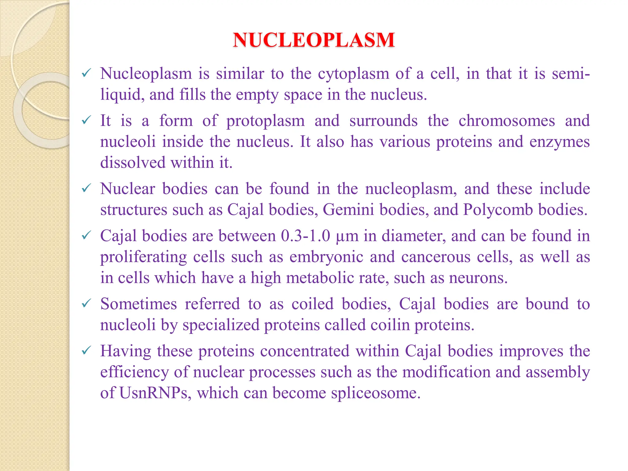 NUCLEOPLASM
 Nucleoplasm is similar to the cytoplasm of a cell, in that it is semi-
liquid, and fills the empty space in the nucleus.
 It is a form of protoplasm and surrounds the chromosomes and
nucleoli inside the nucleus. It also has various proteins and enzymes
dissolved within it.
 Nuclear bodies can be found in the nucleoplasm, and these include
structures such as Cajal bodies, Gemini bodies, and Polycomb bodies.
 Cajal bodies are between 0.3-1.0 µm in diameter, and can be found in
proliferating cells such as embryonic and cancerous cells, as well as
in cells which have a high metabolic rate, such as neurons.
 Sometimes referred to as coiled bodies, Cajal bodies are bound to
nucleoli by specialized proteins called coilin proteins.
 Having these proteins concentrated within Cajal bodies improves the
efficiency of nuclear processes such as the modification and assembly
of UsnRNPs, which can become spliceosome.
 