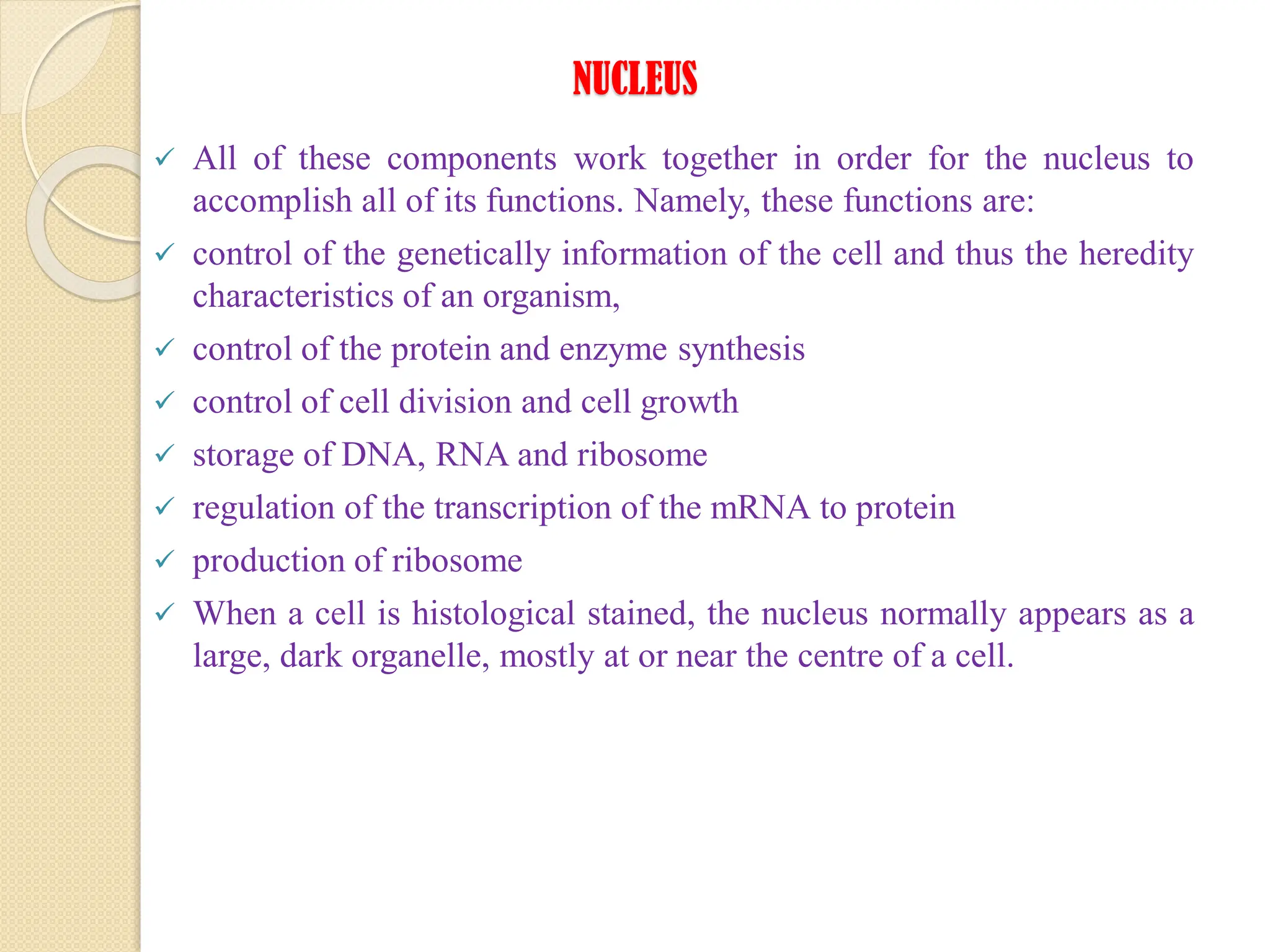 NUCLEUS
 All of these components work together in order for the nucleus to
accomplish all of its functions. Namely, these functions are:
 control of the genetically information of the cell and thus the heredity
characteristics of an organism,
 control of the protein and enzyme synthesis
 control of cell division and cell growth
 storage of DNA, RNA and ribosome
 regulation of the transcription of the mRNA to protein
 production of ribosome
 When a cell is histological stained, the nucleus normally appears as a
large, dark organelle, mostly at or near the centre of a cell.
 