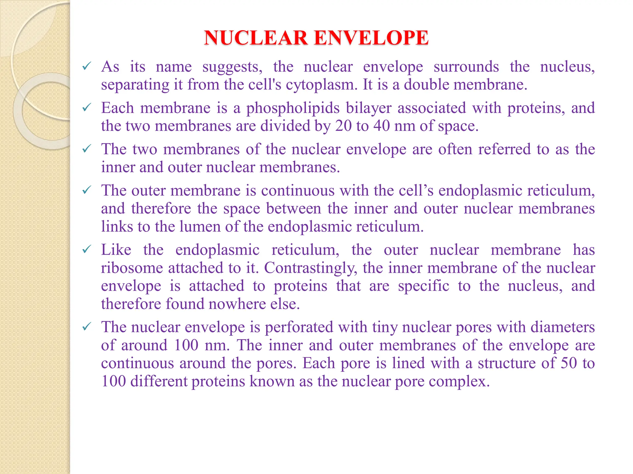 NUCLEAR ENVELOPE
 As its name suggests, the nuclear envelope surrounds the nucleus,
separating it from the cell's cytoplasm. It is a double membrane.
 Each membrane is a phospholipids bilayer associated with proteins, and
the two membranes are divided by 20 to 40 nm of space.
 The two membranes of the nuclear envelope are often referred to as the
inner and outer nuclear membranes.
 The outer membrane is continuous with the cell’s endoplasmic reticulum,
and therefore the space between the inner and outer nuclear membranes
links to the lumen of the endoplasmic reticulum.
 Like the endoplasmic reticulum, the outer nuclear membrane has
ribosome attached to it. Contrastingly, the inner membrane of the nuclear
envelope is attached to proteins that are specific to the nucleus, and
therefore found nowhere else.
 The nuclear envelope is perforated with tiny nuclear pores with diameters
of around 100 nm. The inner and outer membranes of the envelope are
continuous around the pores. Each pore is lined with a structure of 50 to
100 different proteins known as the nuclear pore complex.
 