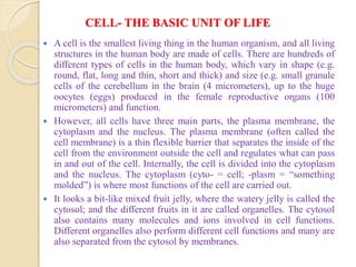 CELL- THE BASIC UNIT OF LIFE
 A cell is the smallest living thing in the human organism, and all living
structures in the human body are made of cells. There are hundreds of
different types of cells in the human body, which vary in shape (e.g.
round, flat, long and thin, short and thick) and size (e.g. small granule
cells of the cerebellum in the brain (4 micrometers), up to the huge
oocytes (eggs) produced in the female reproductive organs (100
micrometers) and function.
 However, all cells have three main parts, the plasma membrane, the
cytoplasm and the nucleus. The plasma membrane (often called the
cell membrane) is a thin flexible barrier that separates the inside of the
cell from the environment outside the cell and regulates what can pass
in and out of the cell. Internally, the cell is divided into the cytoplasm
and the nucleus. The cytoplasm (cyto- = cell; -plasm = “something
molded”) is where most functions of the cell are carried out.
 It looks a bit-like mixed fruit jelly, where the watery jelly is called the
cytosol; and the different fruits in it are called organelles. The cytosol
also contains many molecules and ions involved in cell functions.
Different organelles also perform different cell functions and many are
also separated from the cytosol by membranes.
 