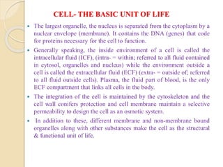 CELL- THE BASIC UNIT OF LIFE
 The largest organelle, the nucleus is separated from the cytoplasm by a
nuclear envelope (membrane). It contains the DNA (genes) that code
for proteins necessary for the cell to function.
 Generally speaking, the inside environment of a cell is called the
intracellular fluid (ICF), (intra- = within; referred to all fluid contained
in cytosol, organelles and nucleus) while the environment outside a
cell is called the extracellular fluid (ECF) (extra- = outside of; referred
to all fluid outside cells). Plasma, the fluid part of blood, is the only
ECF compartment that links all cells in the body.
 The integration of the cell is maintained by the cytoskeleton and the
cell wall conifers protection and cell membrane maintain a selective
permeability to design the cell as an osmotic system.
 In addition to these, different membrane and non-membrane bound
organelles along with other substances make the cell as the structural
& functional unit of life.
 
