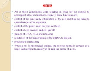 NUCLEUS
 All of these components work together in order for the nucleus to
accomplish all of its functions. Namely, these functions are:
 control of the genetically information of the cell and thus the heredity
characteristics of an organism,
 control of the protein and enzyme synthesis
 control of cell division and cell growth
 storage of DNA, RNA and ribosome
 regulation of the transcription of the mRNA to protein
 production of ribosome
 When a cell is histological stained, the nucleus normally appears as a
large, dark organelle, mostly at or near the centre of a cell.
 