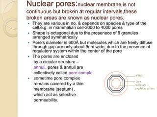 These unit membranes are 80Å thick 