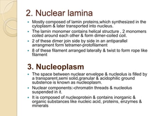 Lipoprotienous in nature; lipid -17 to 35% &                                      protien-59 to 75%The space between 2 membranes –perinuclear space,150Å broad 