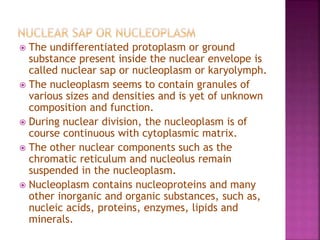  The undifferentiated protoplasm or ground
substance present inside the nuclear envelope is
called nuclear sap or nucleoplasm or karyolymph.
 The nucleoplasm seems to contain granules of
various sizes and densities and is yet of unknown
composition and function.
 During nuclear division, the nucleoplasm is of
course continuous with cytoplasmic matrix.
 The other nuclear components such as the
chromatic reticulum and nucleolus remain
suspended in the nucleoplasm.
 Nucleoplasm contains nucleoproteins and many
other inorganic and organic substances, such as,
nucleic acids, proteins, enzymes, lipids and
minerals.
 