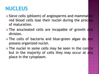  Sieve cells (phloem) of angiosperms and mammalian
red blood cells lose their nuclei during the process
of maturation.
 The anucleated cells are incapable of growth and
division.
 The cells of bacteria and blue-green algae do not
possess organized nuclei.
 The nuclei in some cells may be seen in the centre
but in the majority of cells they may occur at any
place in the cytoplasm.
 