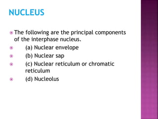  The following are the principal components
of the interphase nucleus.
 (a) Nuclear envelope
 (b) Nuclear sap
 (c) Nuclear reticulum or chromatic
reticulum
 (d) Nucleolus
 