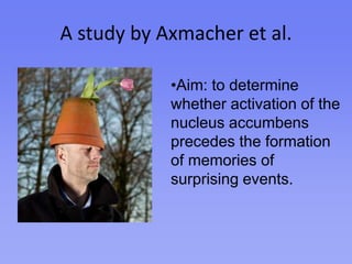 Results and FindingsSwitching the stimulus activated the hippocampus, the nucleus accumbens, and then the hippocampus again.This brain pattern provides a way to consistently predict memory formation.The nucleus accumbens is involved in processing not only rewards, but also novel information.May influence further processing by the hippocampus.