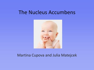 The Nucleus Accumbens Martina Cupova and Julia Matejcek 