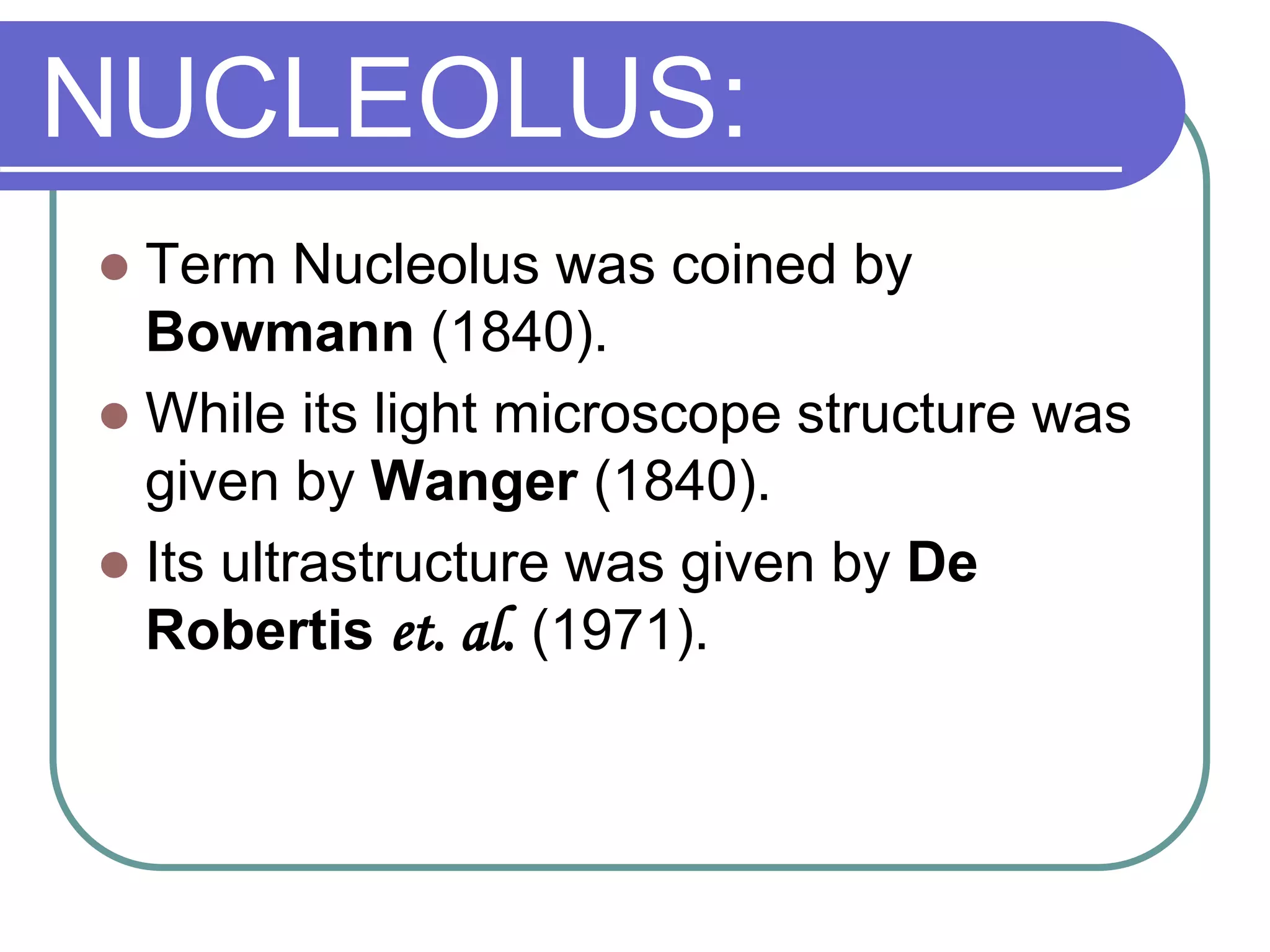 NUCLEOLUS:
 Term Nucleolus was coined by
Bowmann (1840).
 While its light microscope structure was
given by Wanger (1840).
 Its ultrastructure was given by De
Robertis et. al. (1971).
 