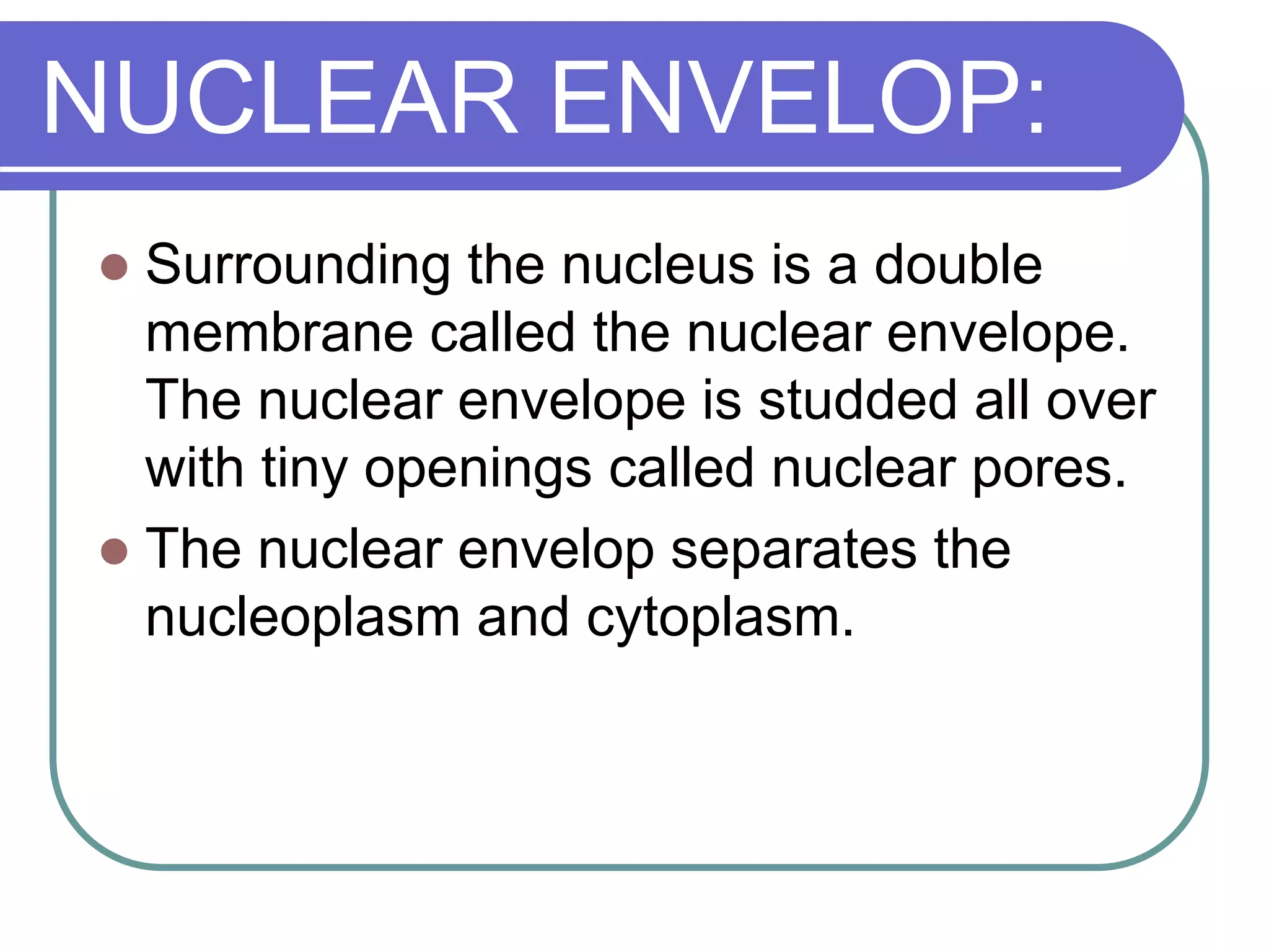 NUCLEAR ENVELOP:
 Surrounding the nucleus is a double
membrane called the nuclear envelope.
The nuclear envelope is studded all over
with tiny openings called nuclear pores.
 The nuclear envelop separates the
nucleoplasm and cytoplasm.
 