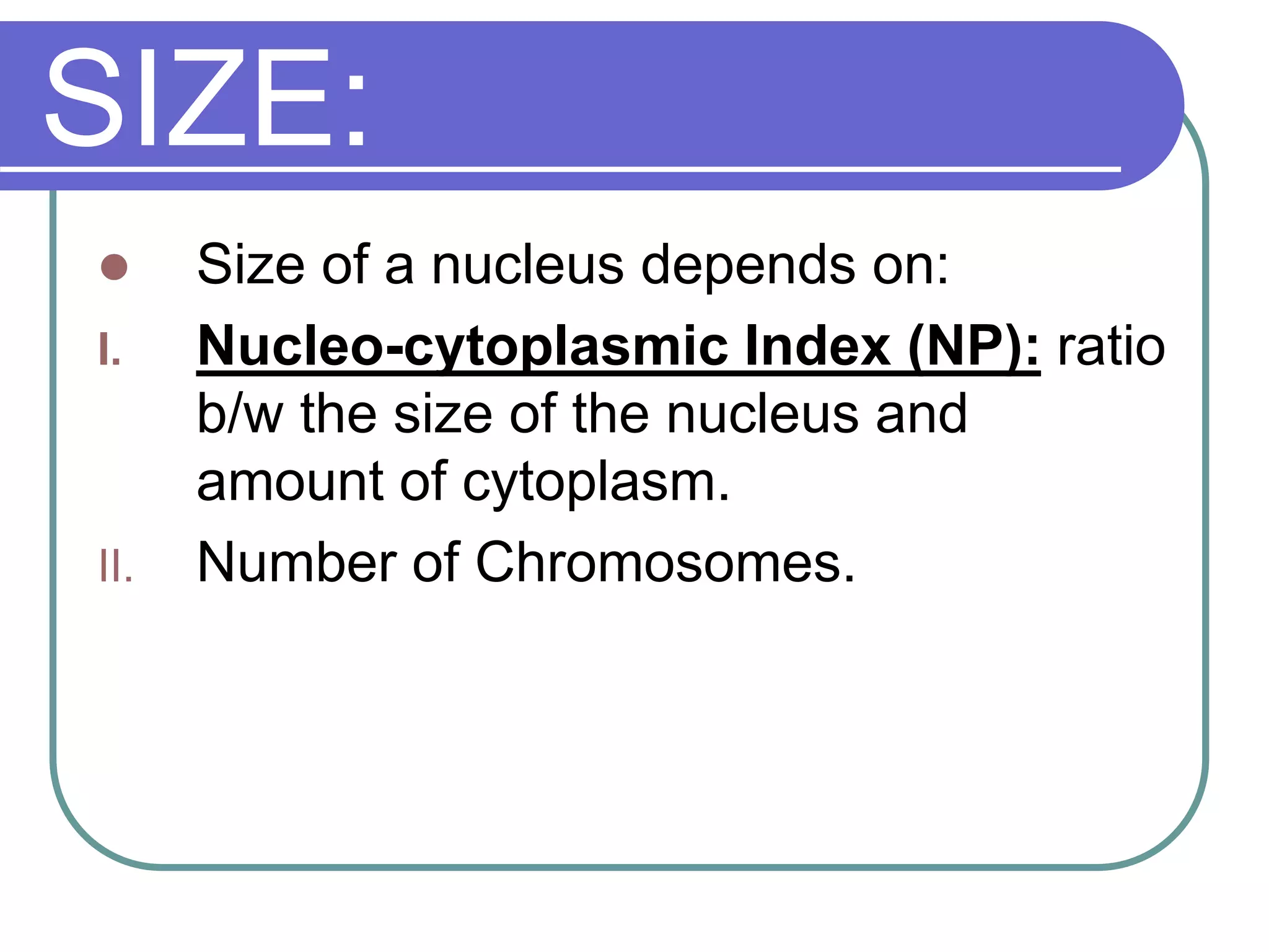 SIZE:
 Size of a nucleus depends on:
I. Nucleo-cytoplasmic Index (NP): ratio
b/w the size of the nucleus and
amount of cytoplasm.
II. Number of Chromosomes.
 