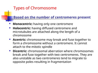 Nucleus and chromosome.ppt nuclean is the brain | PPT