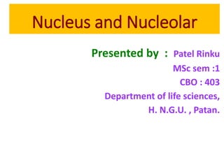 Nucleus and Nucleolar
Presented by : Patel Rinku
MSc sem :1
CBO : 403
Department of life sciences,
H. N.G.U. , Patan.
 