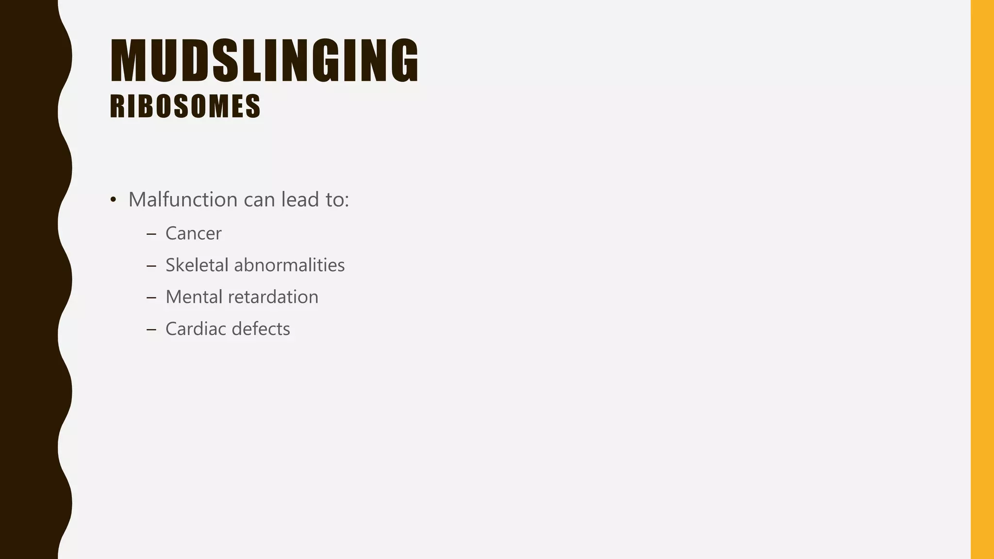 MUDSLINGING
RIBOSOMES
• Malfunction can lead to:
– Cancer
– Skeletal abnormalities
– Mental retardation
– Cardiac defects
 