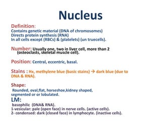 Nucleus & Epithelium - Histology | PPTX