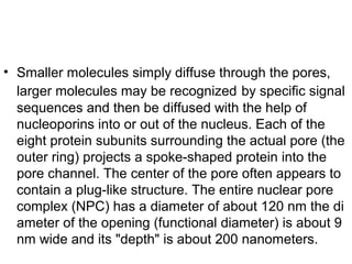 • Smaller molecules simply diffuse through the pores,
larger molecules may be recognized by specific signal
sequences and then be diffused with the help of
nucleoporins into or out of the nucleus. Each of the
eight protein subunits surrounding the actual pore (the
outer ring) projects a spoke-shaped protein into the
pore channel. The center of the pore often appears to
contain a plug-like structure. The entire nuclear pore
complex (NPC) has a diameter of about 120 nm the di
ameter of the opening (functional diameter) is about 9
nm wide and its "depth" is about 200 nanometers.
 