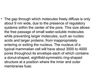 • The gap through which molecules freely diffuse is only
about 9 nm wide, due to the presence of regulatory
systems within the center of the pore. This size allows
the free passage of small water-soluble molecules
while preventing larger molecules, such as nucleic
acids and larger proteins, from inappropriately
entering or exiting the nucleus. The nucleus of a
typical mammalian cell will have about 3000 to 4000
pores throughout its envelope each of which contains
a donut-shaped, eightfold-symmetric ring-shaped
structure at a position where the inner and outer
membranes fuse.
 