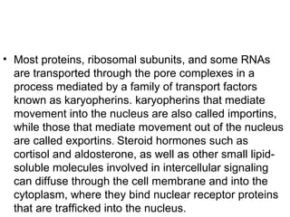 • Most proteins, ribosomal subunits, and some RNAs
are transported through the pore complexes in a
process mediated by a family of transport factors
known as karyopherins. karyopherins that mediate
movement into the nucleus are also called importins,
while those that mediate movement out of the nucleus
are called exportins. Steroid hormones such as
cortisol and aldosterone, as well as other small lipid-
soluble molecules involved in intercellular signaling
can diffuse through the cell membrane and into the
cytoplasm, where they bind nuclear receptor proteins
that are trafficked into the nucleus.
 