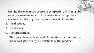 • Despite this enormous degree of compaction, DNA must be
rapidly accessible to permit its interaction with protein
machineries that regulate the functions of chromatin:
A. replication,
B. repair and
C. recombination.
• The dynamic organization of chromatin structure thereby
influences, potentially, all functions of the genome
 