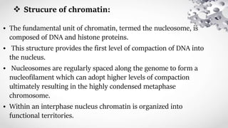  Strucure of chromatin:
• The fundamental unit of chromatin, termed the nucleosome, is
composed of DNA and histone proteins.
• This structure provides the first level of compaction of DNA into
the nucleus.
• Nucleosomes are regularly spaced along the genome to form a
nucleofilament which can adopt higher levels of compaction
ultimately resulting in the highly condensed metaphase
chromosome.
• Within an interphase nucleus chromatin is organized into
functional territories.
 