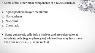 • Some of the other main components of a nucleus include:
1. A phospholipid bilayer membrane
2. Nucleoplasm
3. Nucleolus
4. Chromatic
• Some eukaryotic cells lack a nucleus and are referred to as
enucleate cells (e.g. erythrocytes) while others may have more
than one nucleus (e.g. slime molds).
 