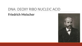 DNA: DEOXY RIBO NUCLEIC ACID
Friedrich Meischer
 