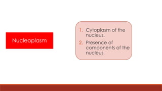Nucleoplasm
1. Cytoplasm of the
nucleus.
2. Presence of
components of the
nucleus.
 
