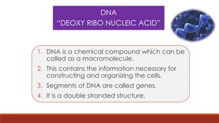 DNA
“DEOXY RIBO NUCLEIC ACID”
1. DNA is a chemical compound which can be
called as a macromolecule.
2. This contains the information necessary for
constructing and organizing the cells.
3. Segments of DNA are called genes.
4. It is a double stranded structure.
 