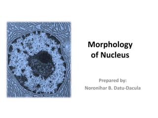 Morphology
of Nucleus
Prepared by:
Noronihar B. Datu-Dacula
 