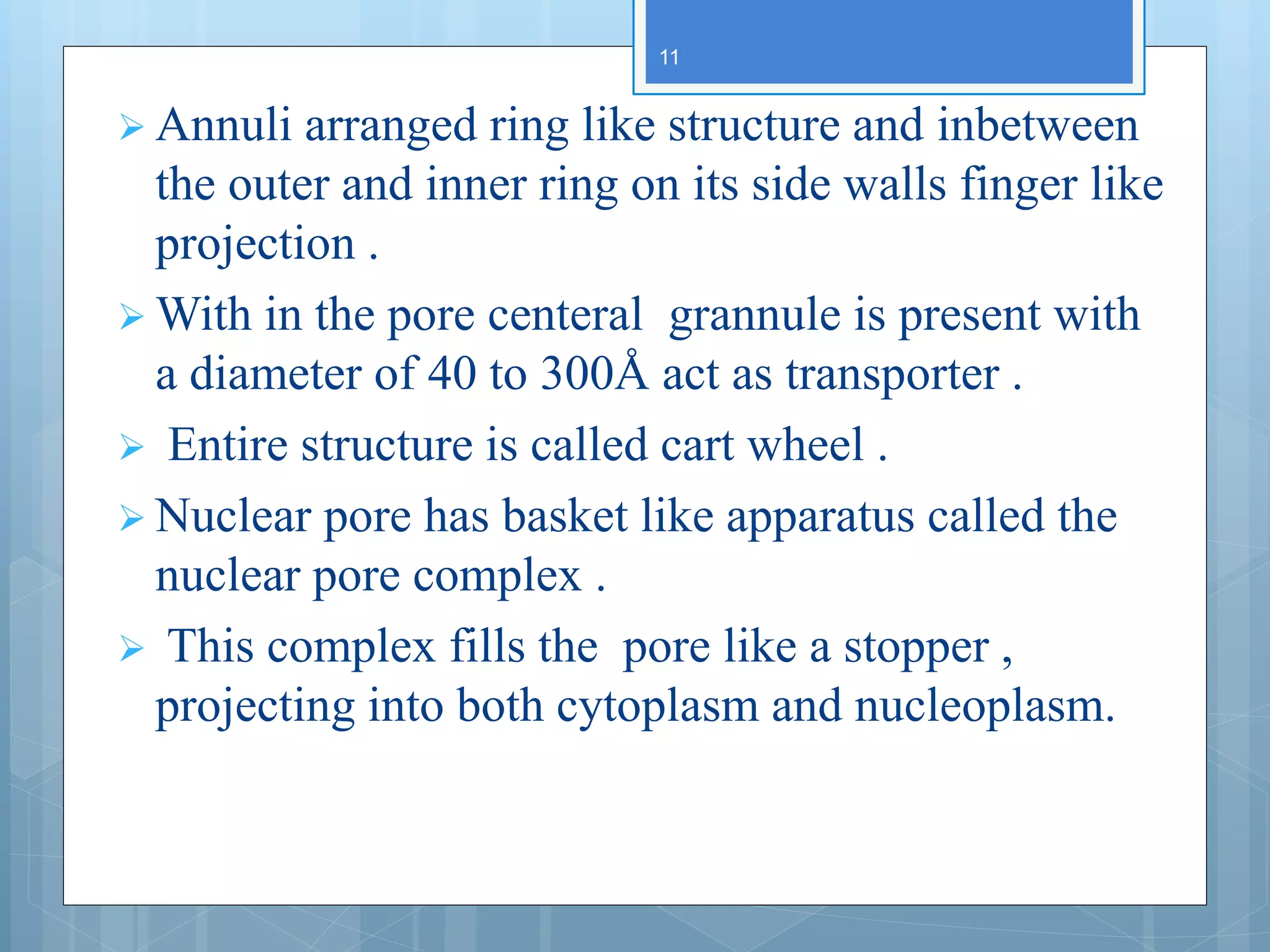  Annuli arranged ring like structure and inbetween
the outer and inner ring on its side walls finger like
projection .
 With in the pore centeral grannule is present with
a diameter of 40 to 300Å act as transporter .
 Entire structure is called cart wheel .
 Nuclear pore has basket like apparatus called the
nuclear pore complex .
 This complex fills the pore like a stopper ,
projecting into both cytoplasm and nucleoplasm.
11
 