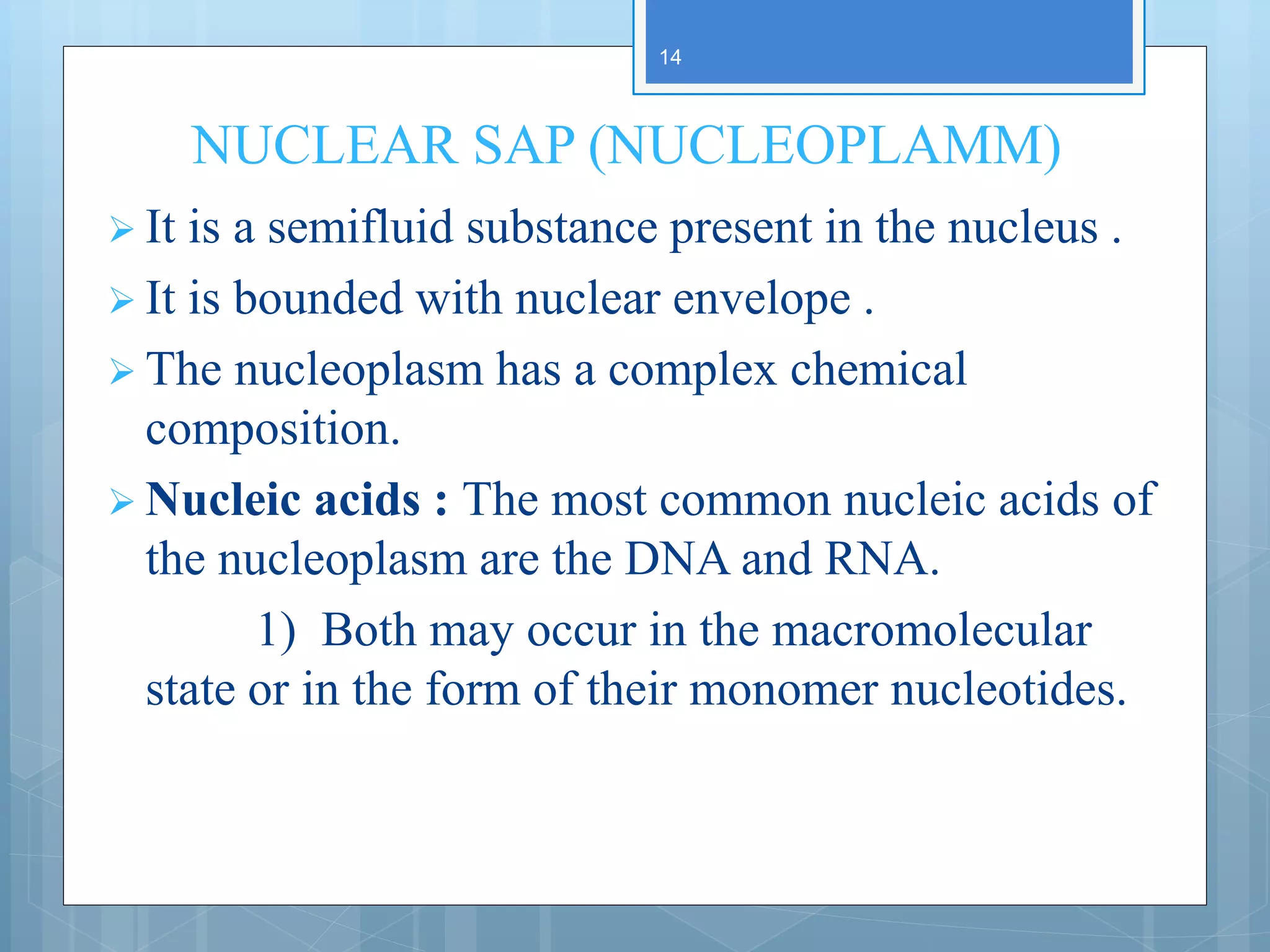 NUCLEAR SAP (NUCLEOPLAMM)
 It is a semifluid substance present in the nucleus .
 It is bounded with nuclear envelope .
 The nucleoplasm has a complex chemical
composition.
 Nucleic acids : The most common nucleic acids of
the nucleoplasm are the DNA and RNA.
1) Both may occur in the macromolecular
state or in the form of their monomer nucleotides.
14
 