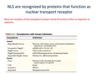 NLS are recognized by proteins that function as
nuclear transport receptor
Most are members of the karyopherin protein family & function either as Importins or
exportins
 