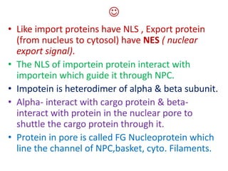 
• Like import proteins have NLS , Export protein
(from nucleus to cytosol) have NES ( nuclear
export signal).
• The NLS of importein protein interact with
importein which guide it through NPC.
• Impotein is heterodimer of alpha & beta subunit.
• Alpha- interact with cargo protein & beta-
interact with protein in the nuclear pore to
shuttle the cargo protein through it.
• Protein in pore is called FG Nucleoprotein which
line the channel of NPC,basket, cyto. Filaments.
 