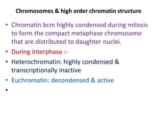 Chromosomes & high order chromatin structure
• Chromatin bcm highly condensed during mitosis
to form the compact metaphase chromosome
that are distributed to daughter nuclei.
• During interphase :-
• Heterochromatin: highly condensed &
transcriptionally inactive
• Euchromatin: decondensed & active
•
 