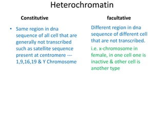Heterochromatin
Constitutive
• Same region in dna
sequence of all cell that are
generally not transcribed
such as satellite sequence
present at centromere ---
1,9,16,19 & Y Chromosome
facultative
Different region in dna
sequence of different cell
that are not transcribed.
i.e. x-chromosome in
female, in one cell one is
inactive & other cell is
another type
 