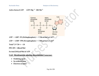 Nucleotides & Nucleic Acids Notes for Biophysics and Biochemistry | PDF