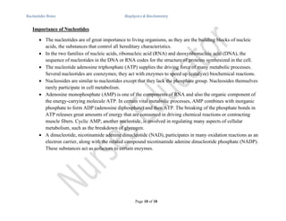 Nucleotides & Nucleic Acids Notes for Biophysics and Biochemistry | PDF