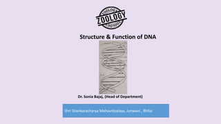 Shri Shankaracharya Mahavidyalaya, Junwani , Bhilai
Structure & Function of DNA
Dr. Sonia Bajaj, (Head of Department)
 