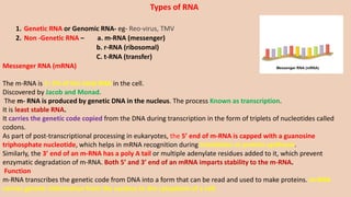 Types of RNA
1. Genetic RNA or Genomic RNA- eg- Reo-virus, TMV
2. Non -Genetic RNA – a. m-RNA (messenger)
b. r-RNA (ribosomal)
C. t-RNA (transfer)
Messenger RNA (mRNA)
The m-RNA is 1- 5% of the total RNA in the cell.
Discovered by Jacob and Monad.
The m- RNA is produced by genetic DNA in the nucleus. The process Known as transcription.
It is least stable RNA.
It carries the genetic code copied from the DNA during transcription in the form of triplets of nucleotides called
codons.
As part of post-transcriptional processing in eukaryotes, the 5’ end of m-RNA is capped with a guanosine
triphosphate nucleotide, which helps in mRNA recognition during translation or protein synthesis.
Similarly, the 3’ end of an m-RNA has a poly A tail or multiple adenylate residues added to it, which prevent
enzymatic degradation of m-RNA. Both 5’ and 3’ end of an mRNA imparts stability to the m-RNA.
Function
m-RNA transcribes the genetic code from DNA into a form that can be read and used to make proteins. m-RNA
carries genetic information from the nucleus to the cytoplasm of a cell.
 