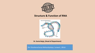 Shri Shankaracharya Mahavidyalaya, Junwani , Bhilai
Structure & Function of RNA
Dr. Sonia Bajaj, (Head of Department)
 
