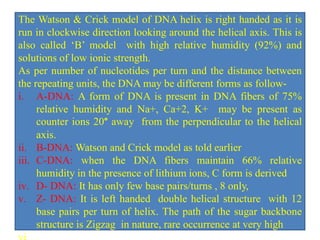 Nuclic acid-the beauty of life | PDF