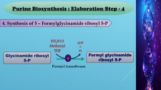NUCLIC ACID BIOSYNTHESIS [Autosaved].pptx