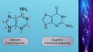 NUCLIC ACID BIOSYNTHESIS [Autosaved].pptx