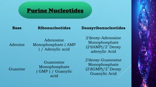 NUCLIC ACID BIOSYNTHESIS [Autosaved].pptx