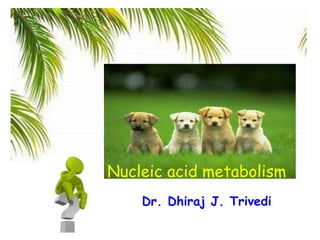 Edited August 2022
Nucleic acid metabolism
Dr. Dhiraj J. Trivedi
 